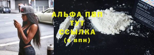 спайс Михайлов