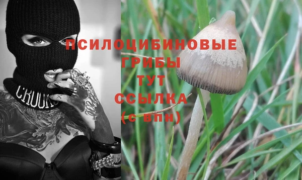 спайс Михайлов
