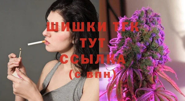 спайс Михайлов