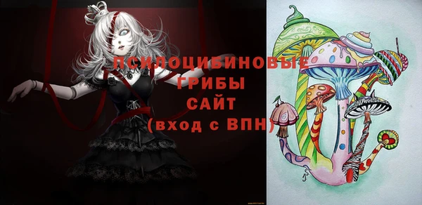 спайс Михайлов