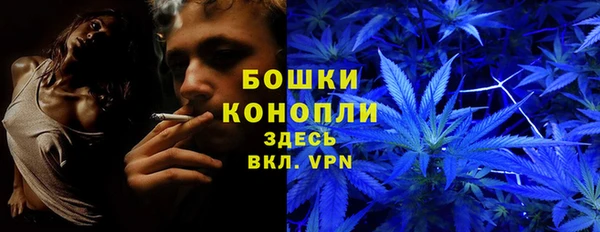 спайс Михайлов