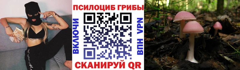 где продают наркотики  Ильский  Галлюциногенные грибы Magic Shrooms 